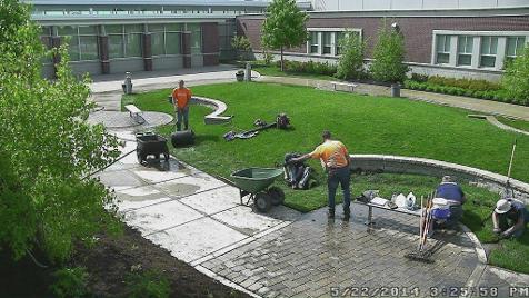 Sod Installation in Winfield